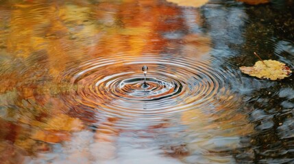 A drop of water hitting the surface of a still pond, creating ripples that spread outward, symbolizing the far-reaching effects of a single impact