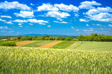 Prigorje, Croatia. Hay fields under cloudy sky view, agricultural landscape