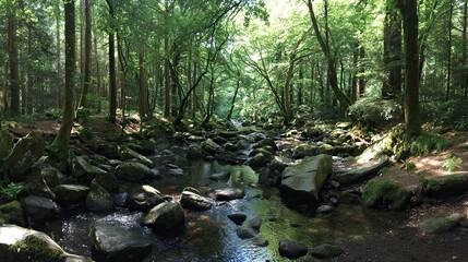 Rocky stream flowing through forest surrounded by pine trees and grassy hills, professional photography capturing natural landscape.