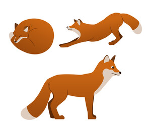 Obraz premium Unique and versatile fox vector design, ready for your projects.