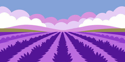 A fragrant purple beautiful lavender field cartoon video background scene vector illustration