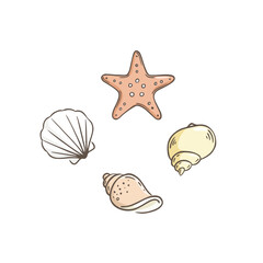 Seashell collection doodle  vector illustration. 