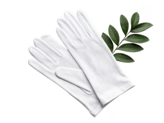 gloves png pair of gloves png protective gloves png winter gloves png fabric gloves png safety gloves png handwear accessory png transparent background image