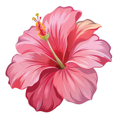 Pink hibiscus flower botanical illustration © GFX