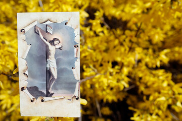 Broom in bloom in spring. Religious image. Jesus on the cross. The crucifixion.