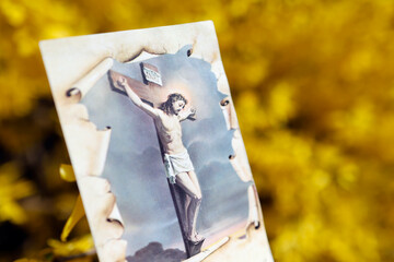 Broom in bloom in spring. Religious image. Jesus on the cross. The crucifixion.