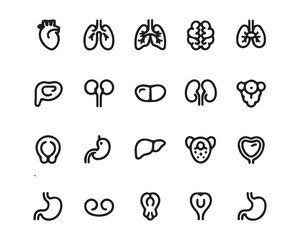 Vector Illustration of Human Body Organs