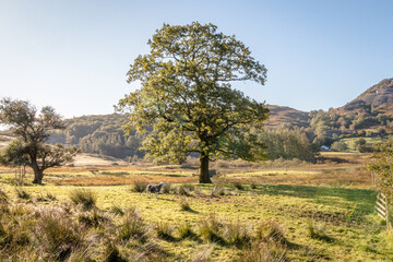 Obraz premium Views from the Lake District in England, UK