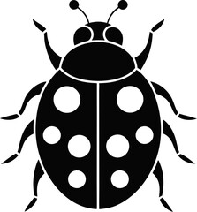 ladybug on white background