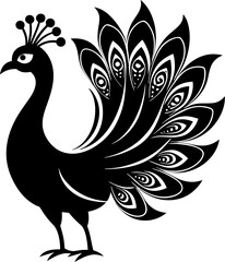 peacock vector illustration