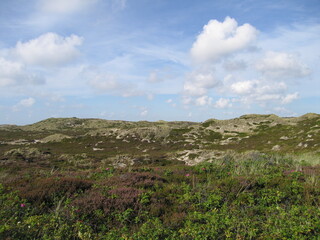 Obraz premium Dünenlandschaft auf Sylt