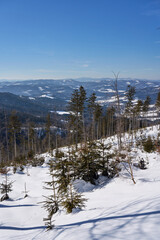 View to Beskids at Silesian Voivodeship near European Bialy Krzyz in Poland - vertical