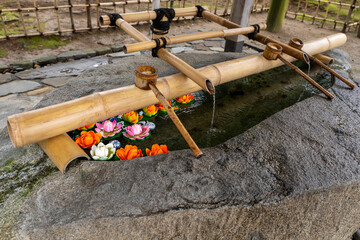 世界遺産 平泉 毛越寺の手水舎　岩手県平泉町