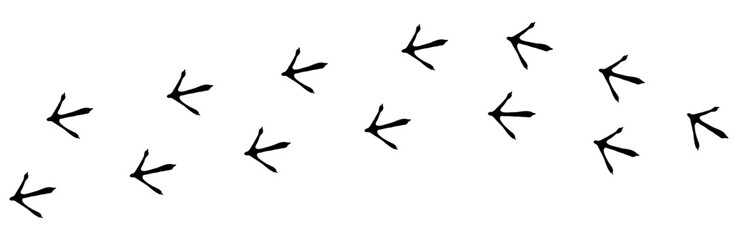 Bird footprint chicken foot track, feet print, paw step hand drawn doodle. Sketch simple turkey, hen trail. Crow walk steps mark.