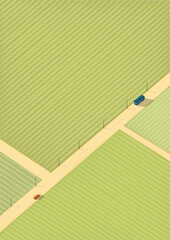 Aerial veiw of a coutry road passing  the soft green fields, isometric graphic design background
