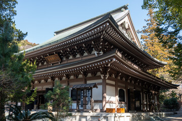 Obraz premium Japanese temple with blue sky Kamakura