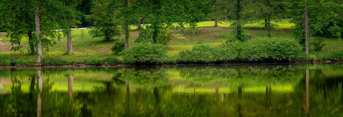 Panorama of park in springtime