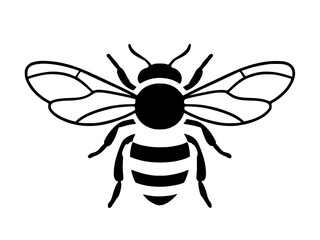 Fototapeta premium vector illustration of a bee