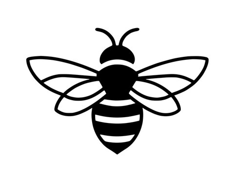 bee vector illustration