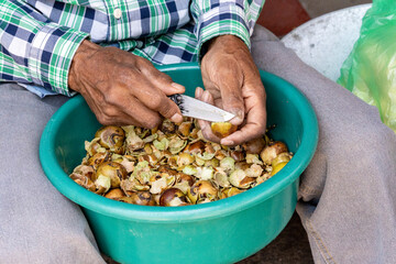hands cutting the coyul to prepare preserves