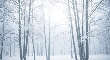 Snowy Forest Scene with Bare Trees and Falling Snow