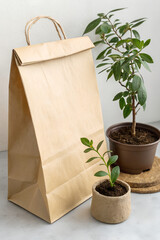 Paper Bag And Two Plants On Gray Surface