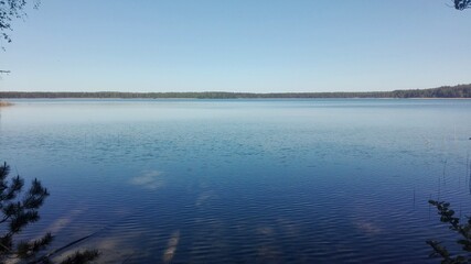 A wide shot of very still body of water, the surface is covered in gently lapping waves. A forest appears on the horizon. In the foreground, pine branches hang down into the frame. A blue sky extends