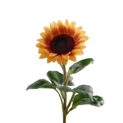 A vibrant sunflower with glowing orange petals and a rich dark center, standing tall against a white isolated background. Perfect for floral designs and nature-themed projects.