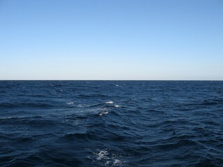 a vast body of deep blue ocean water with a clear sky above. The surface is rippled with waves, some are capped with white foam. The horizon line is clearly visible where the ocean meets the sky