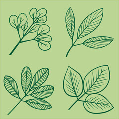 Natural Plant Leaf Line Drawing Vector – Black and White Botanical Art for Zen Wall Decoration, Floral Stationery, and Eco-Themed Branding