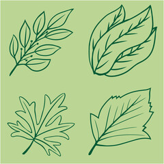 Floral Leaf Line Drawing Vector – Delicate Botanical Illustration for Wedding Design, Organic Branding, Home Decor and Handcrafted Product Labels