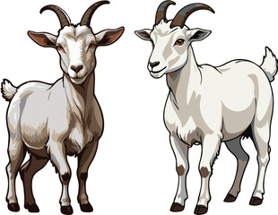 Two goats,sheep or ram vector illustration design art 