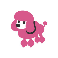 Poodle