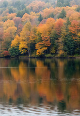 Fototapeta premium Serene autumn landscape with vibrant orange, yellow, and red trees reflected in calm lake, evoking tranquility