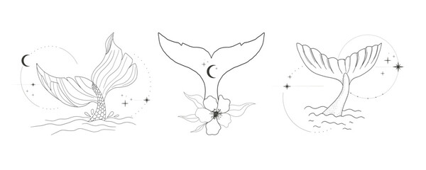 Whale tail with water splash circles stars and moon line sketch minimal geometric tattoo set. Mermaid or ocean mammal with waves vintage.