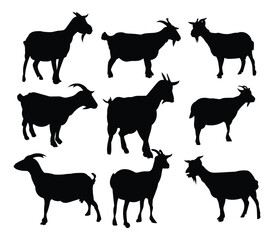 Wild goat outline against dramatic mountain sunset backdrop