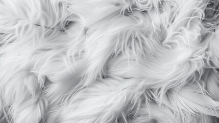 A soft, artistic portrayal of fluffy white feathers creating an ethereal and tranquil atmosphere, inviting reflection and a sense of calm amidst everyday chaos.