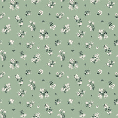 Flower pattern, ditsy floral seamless pattern. Small little flower background. Repeat pattern. Ditsy print. Botanic surface design. Ditsy floral flower pattern for fashion, fabric, wrapping, decor