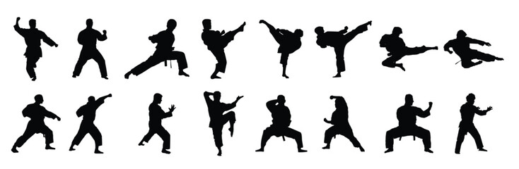 martial art karate silhouettes collection