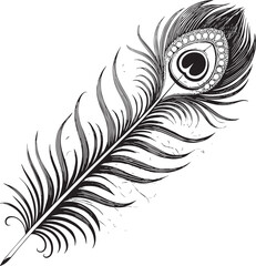 Obraz premium peacock feather vector illustration