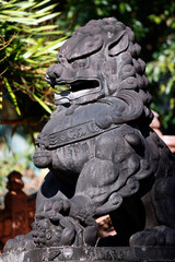 Minh Thanh buddhist temple. Guardian. Chinese lion statue represent Yang force. Pleiku. France.