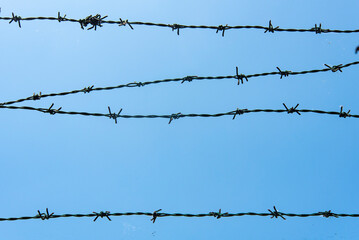 Barbed wire against a clear blue sky creates a stark silhouette at midday in an open area