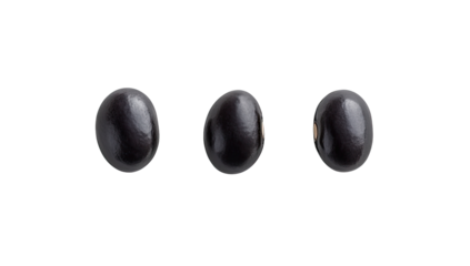 Three black beans, close-up view.  Glossy, oval-shaped, dark beans against a black background
