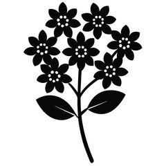 Fototapeta premium Black silhouette of a flower cluster isolated on white background