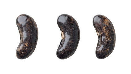 Dark, glossy beans in a row