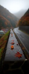 Autumn leaves on a roadside barrier with mountains in the background