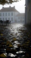 Foggy autumnal cobblestone street