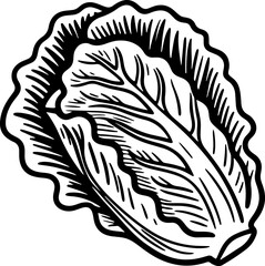 Obraz premium Hand-drawn lettuce illustration for culinary and educational purposes