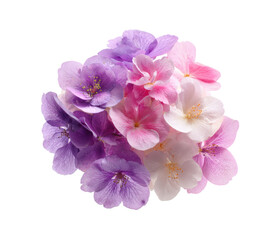 Beautiful assortment of colorful blossoms for decor or gifts