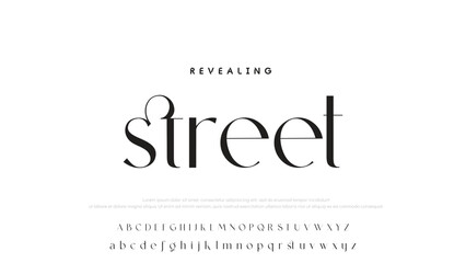 Luxury alphabet letters font and number. Typography elegant wedding classic lettering serif fonts decorative vintage retro concept. vector illustration